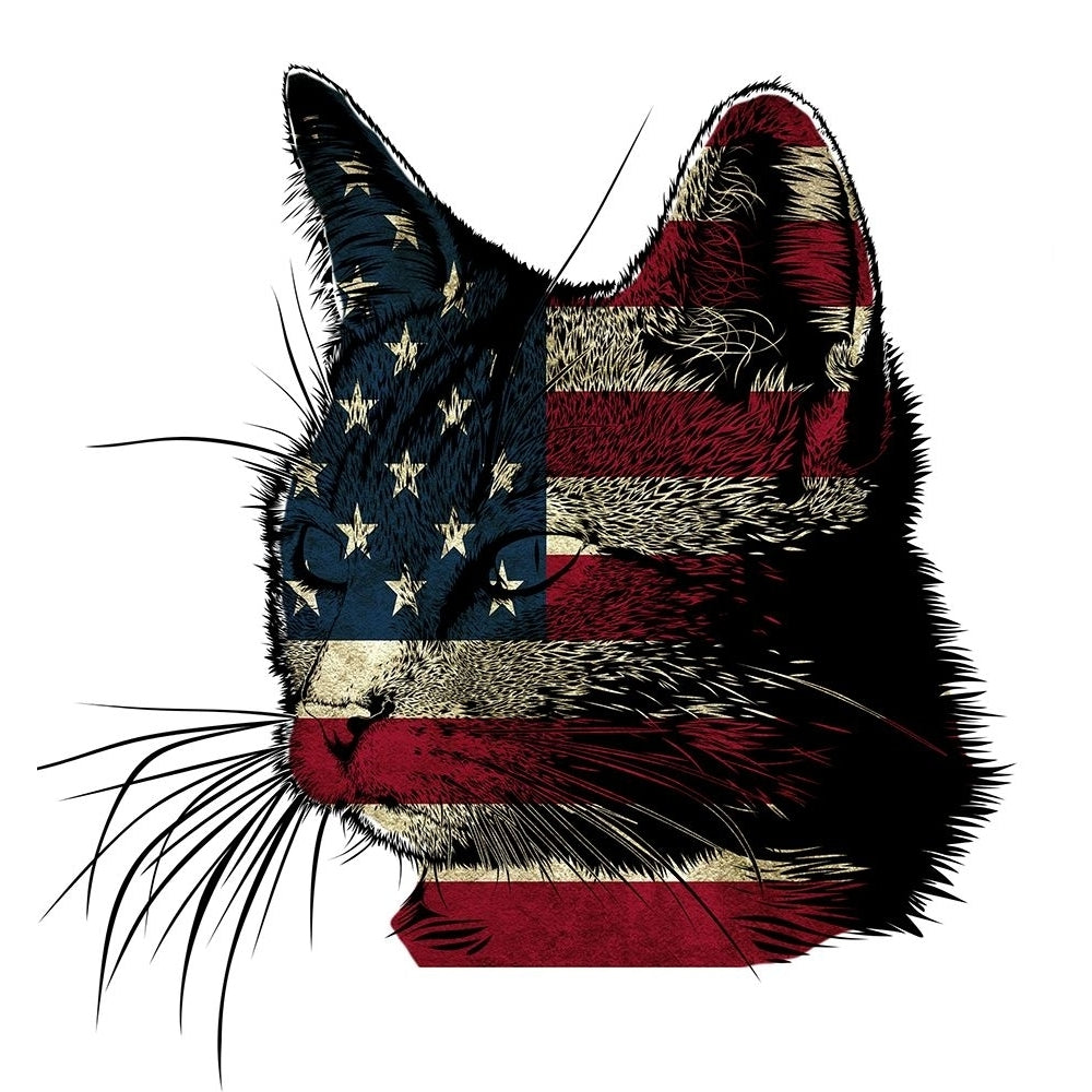 American Cat 2 Poster Print - Jamie Phillip-VARPDXJS759G Image 1