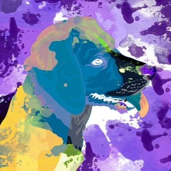 Dog in Color 3 Poster Print by Kimberly Allen-VARPDXKASQ039C Image 1