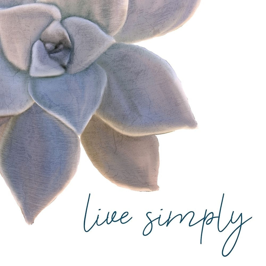 Live Simply Poster Print by Allen Kimberly-VARPDXKASQ1270B Image 1