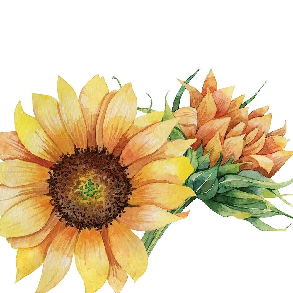 Sunflower Postcard 1 v2 by Kimberly Allen-VARPDXKASQ2241A Image 1