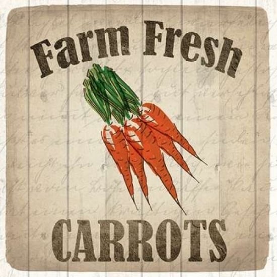 Farm Fresh Carrots Poster Print by Kimberly Allen-VARPDXKASQ223A Image 2