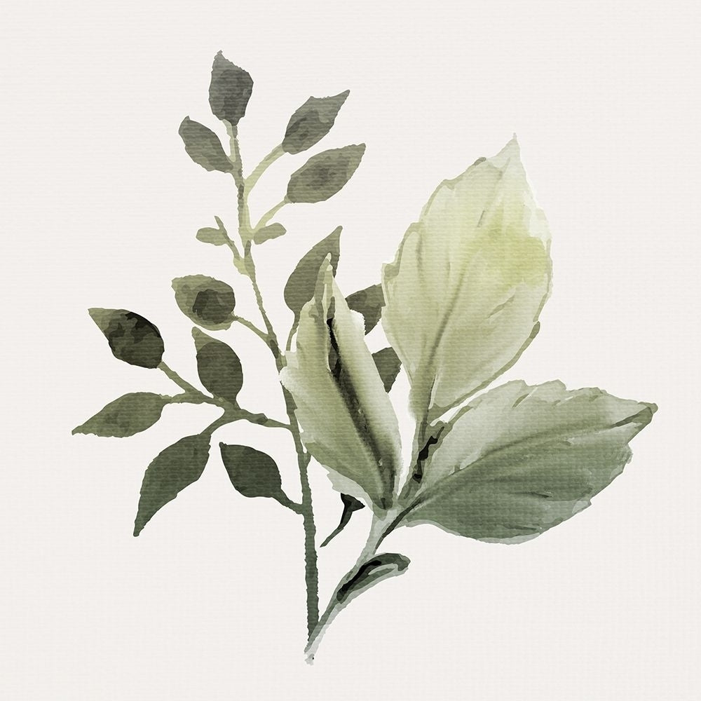 Watercolor Sage 2 by Kimberly Allen-VARPDXKASQ2279B Image 1