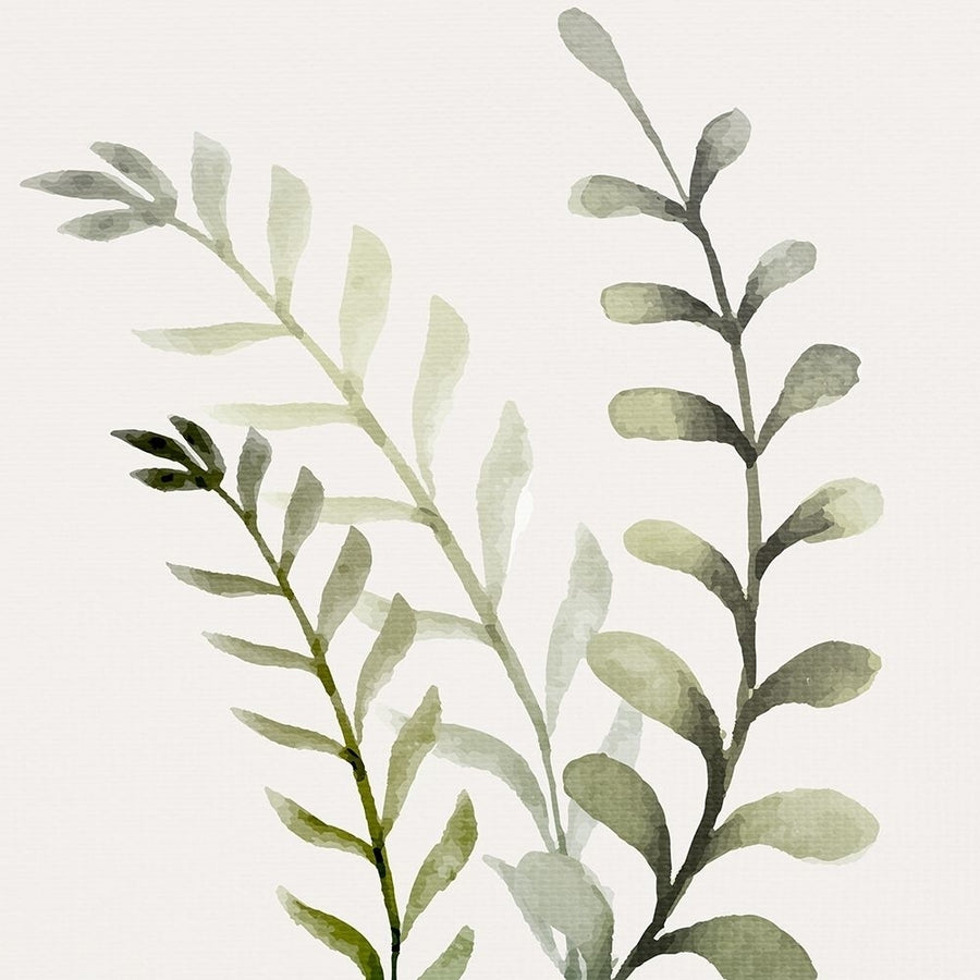 Watercolor Sage 1 by Kimberly Allen-VARPDXKASQ2279A Image 1