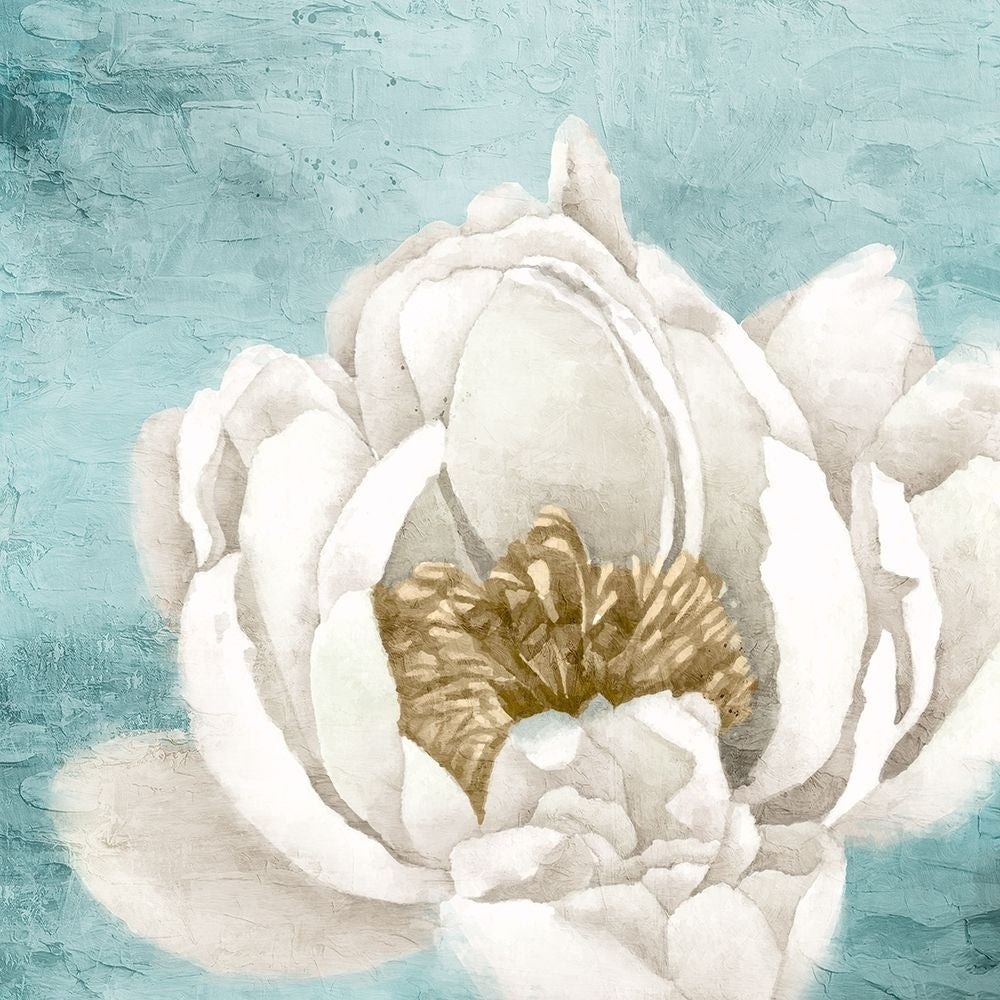 White Peony 1 by Kimberly Allen-VARPDXKASQ2309A Image 1