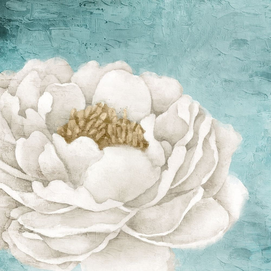 White Peony 2 by Kimberly Allen-VARPDXKASQ2309B Image 1