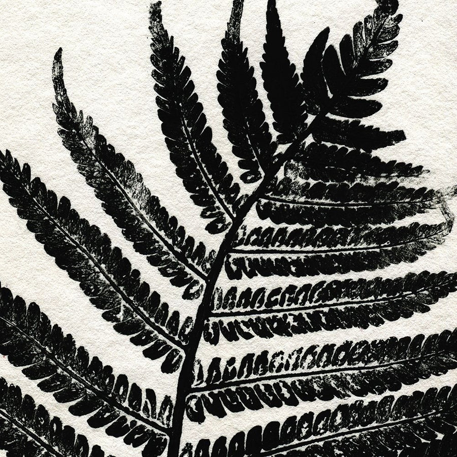 Pressed Fern 1 Poster Print - Kimberly Allen-VARPDXKASQ2753A Image 1