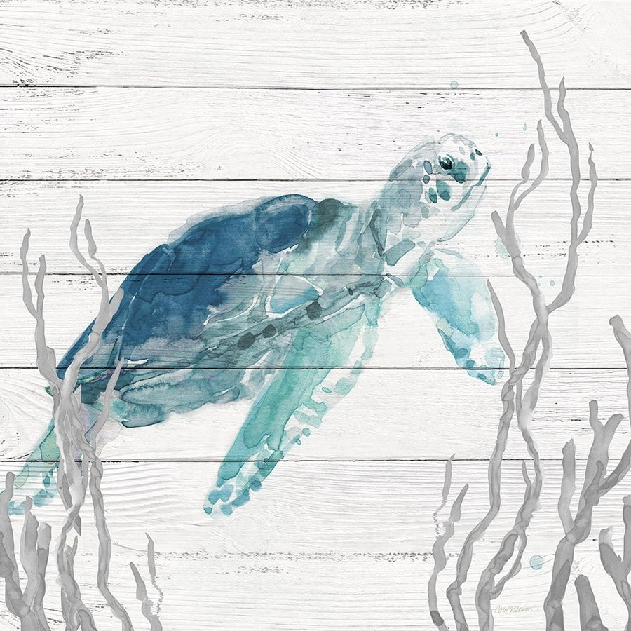 Aqua Turtle I Poster Print - Carol Robinson-VARPDX47288 Image 1