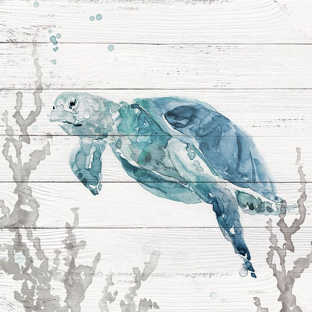 Aqua Turtle II Poster Print - Carol Robinson-VARPDX47289 Image 1