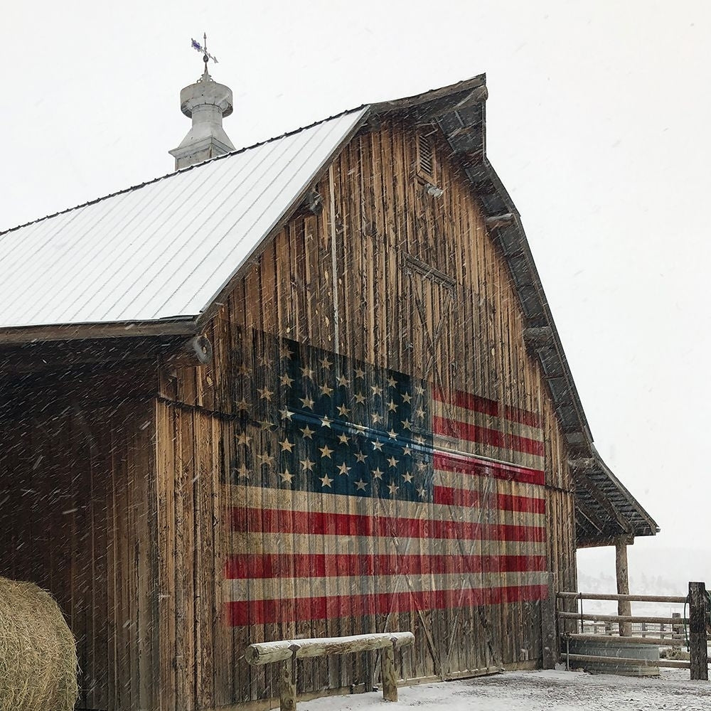 America Proud Poster Print - Carol Robinson-VARPDX47381 Image 1