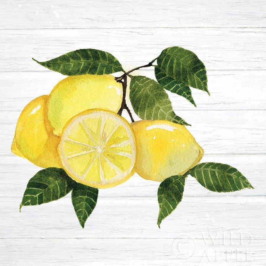 Citrus Garden VI Shiplap Poster Print by Kathleen Parr McKenna-VARPDX47406 Image 1