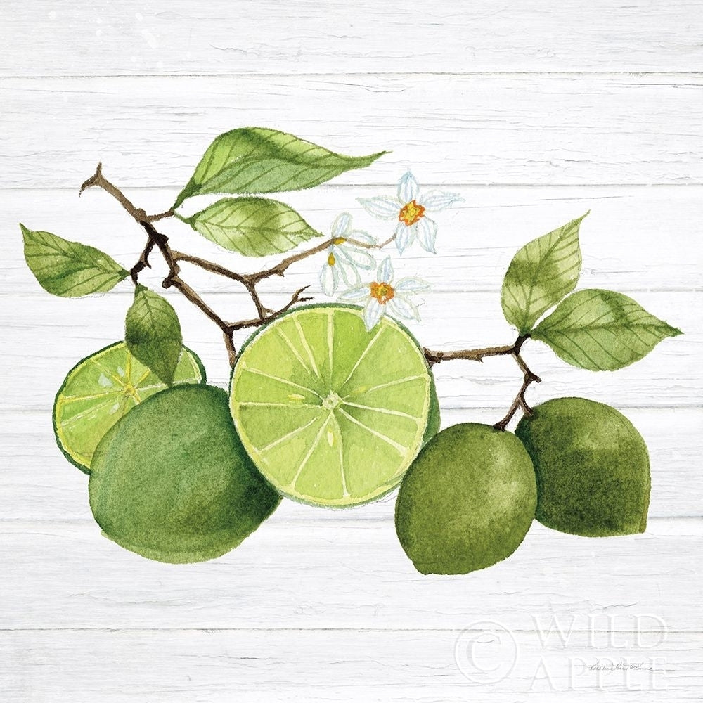 Citrus Garden VII Shiplap Poster Print by Kathleen Parr McKenna-VARPDX47407 Image 1