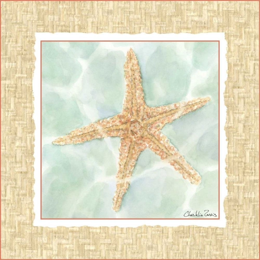 Ocean Starfish Poster Print - Chariklia Zarris-VARPDX47827D Image 1