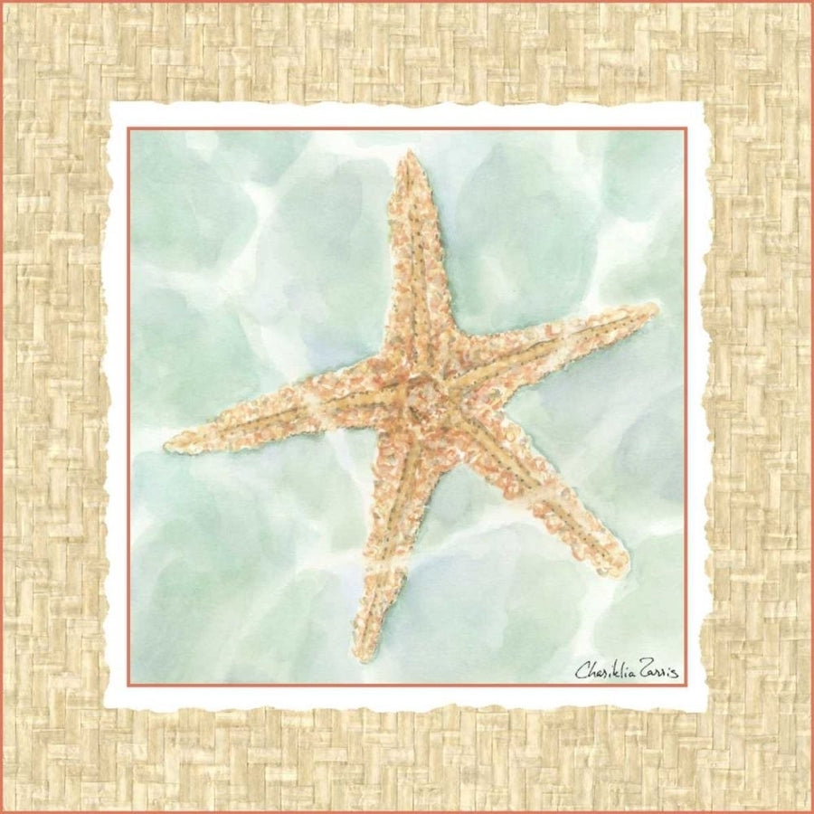 Ocean Starfish Poster Print - Chariklia Zarris-VARPDX47827D Image 1