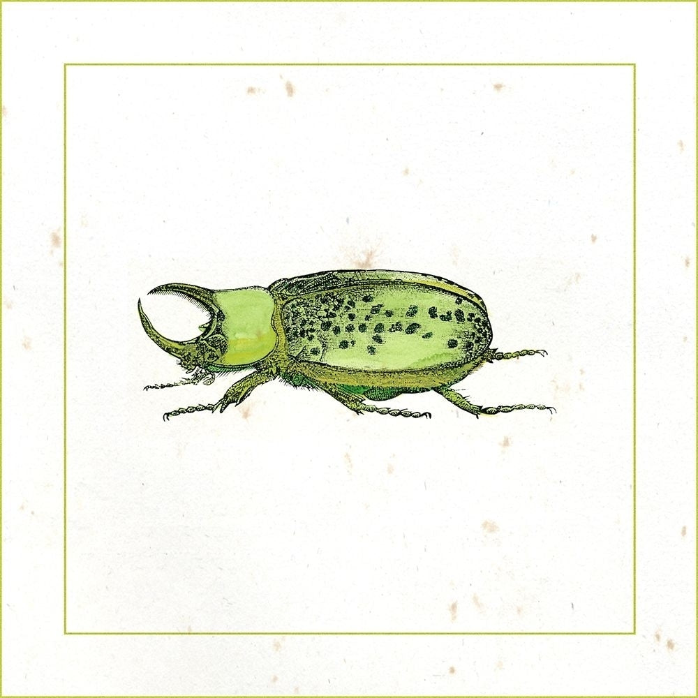 Green Beetle Poster Print - Studio Vision-VARPDX48146D Image 1