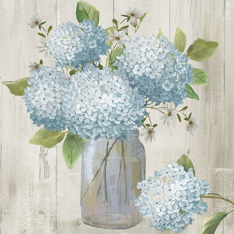 Hydrangea Cluster II Poster Print - Nan-VARPDX48113 Image 1