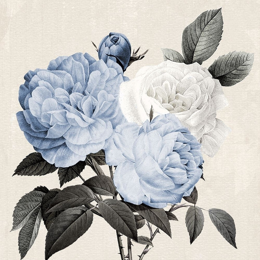 Blue Botanical Arrangement II Poster Print - Kelly Donovan-VARPDX48386 Image 1