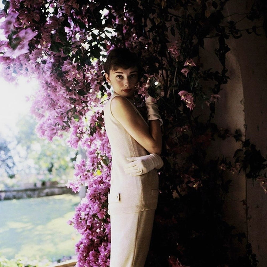 Audrey Hepburn Poster Print by Hollywood Photo Archive Hollywood Photo Archive-VARPDX487034 Image 1