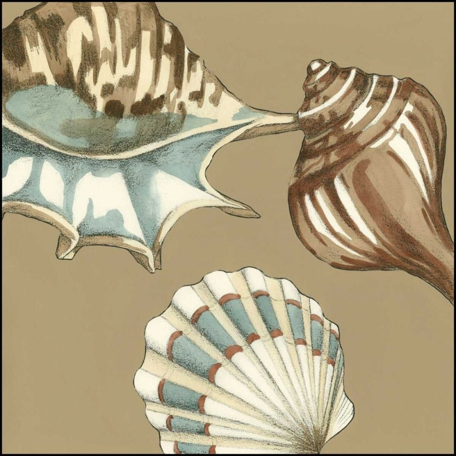 Small Shell Trio on Khaki III Poster Print - Megan Meagher-VARPDX48913D Image 1