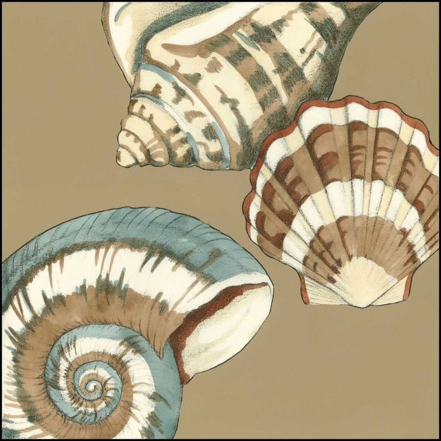 Small Shell Trio on Khaki II Poster Print - Megan Meagher-VARPDX48912D Image 1