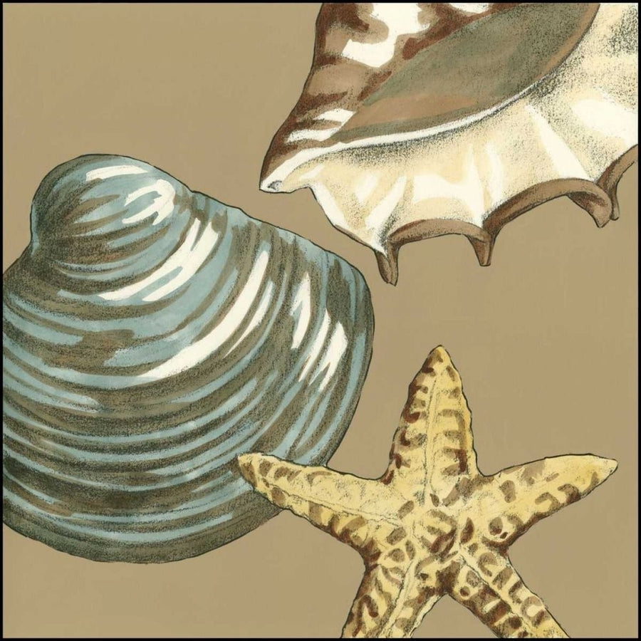 Small Shell Trio on Khaki IV Poster Print - Megan Meagher-VARPDX48914D Image 1