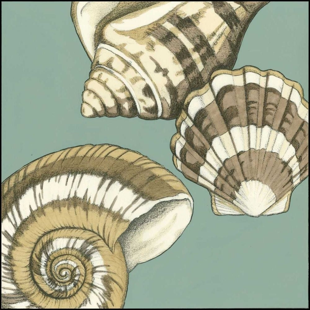 Small Shell Trio on Blue II Poster Print - Megan Meagher-VARPDX48908D Image 1