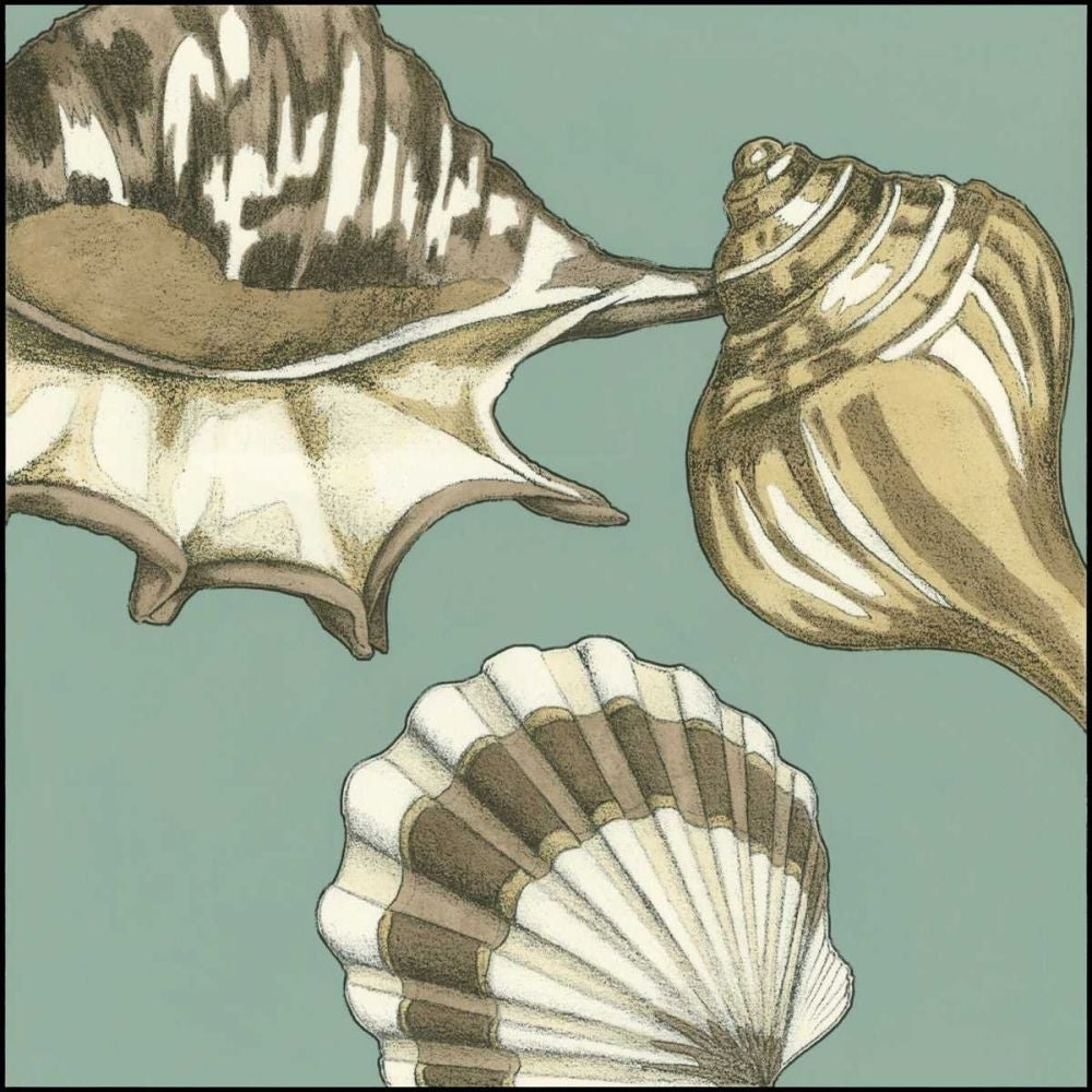 Small Shell Trio on Blue III Poster Print - Megan Meagher-VARPDX48909D Image 1