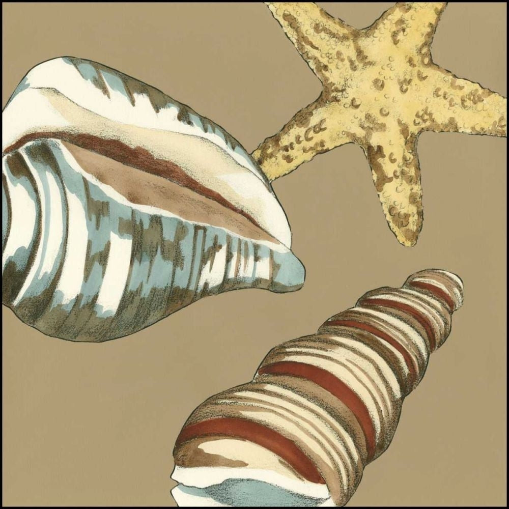 Small Shell Trio on Khaki I Poster Print - Megan Meagher-VARPDX48911D Image 1