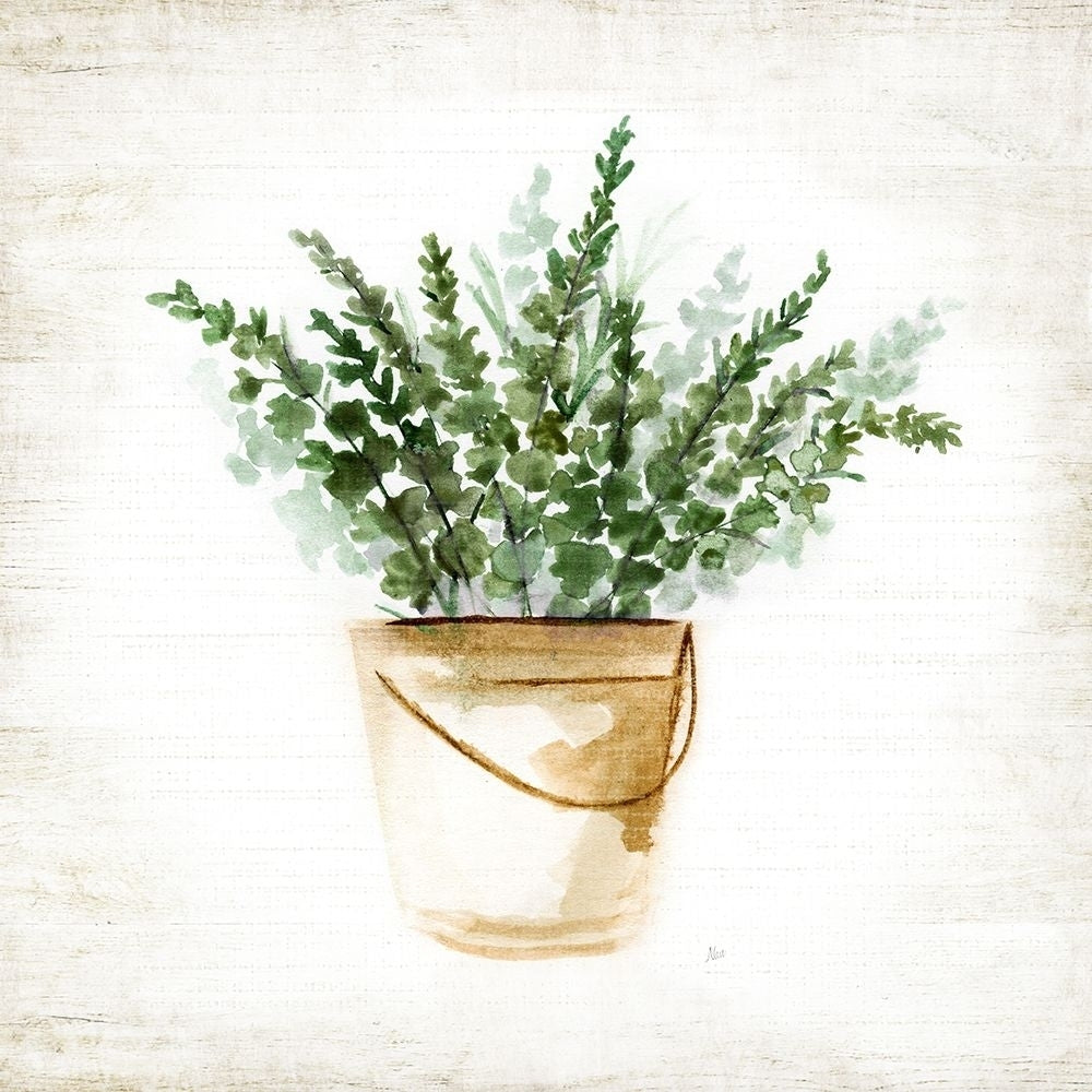 Bucket of Greenery I Poster Print - Nan-VARPDX49011 Image 1