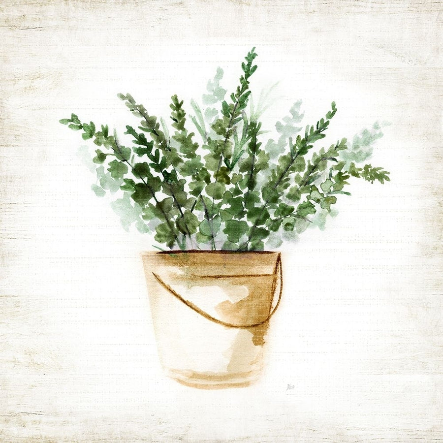 Bucket of Greenery I Poster Print - Nan-VARPDX49011 Image 1