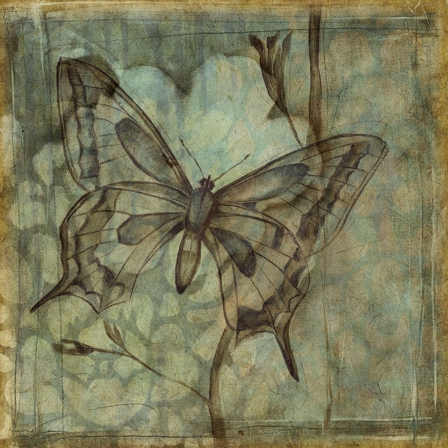 Small Ethereal Wings IV Poster Print - Jennifer Goldberger-VARPDX49982D Image 1