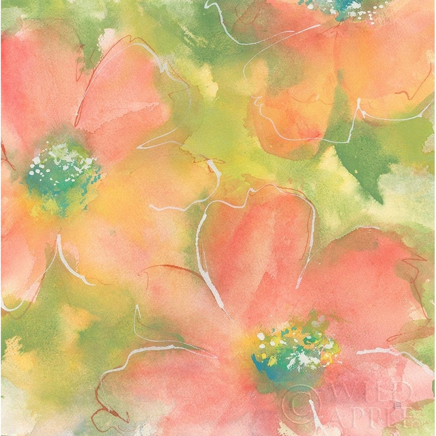 Summer Cosmos I Poster Print by Chris Paschke-VARPDX50263 Image 1