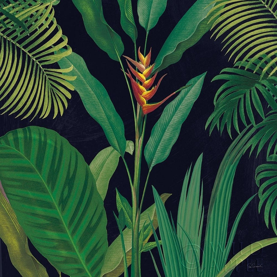 Dramatic Tropical II Poster Print by Sue Schlabach-VARPDX50354 Image 1