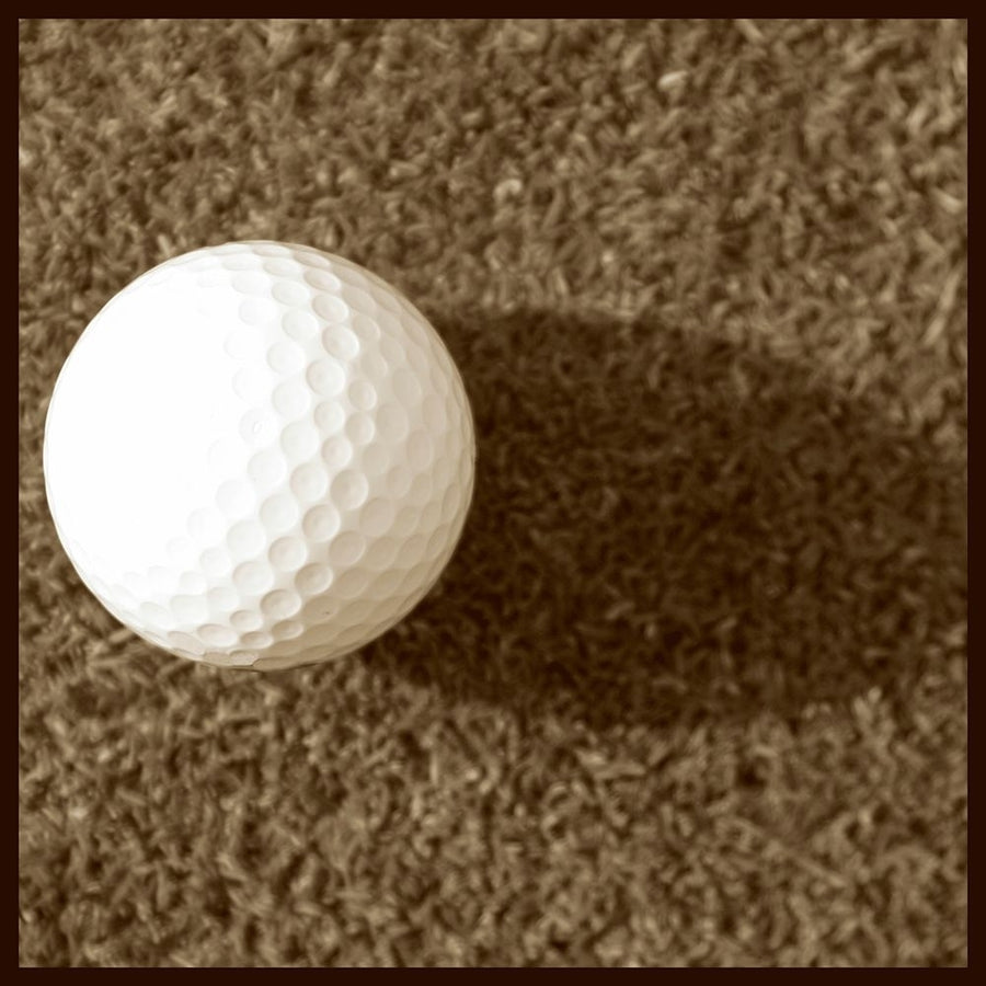 Sepia Golf Ball Study III Poster Print - Jason Johnson-VARPDX50836Z Image 1