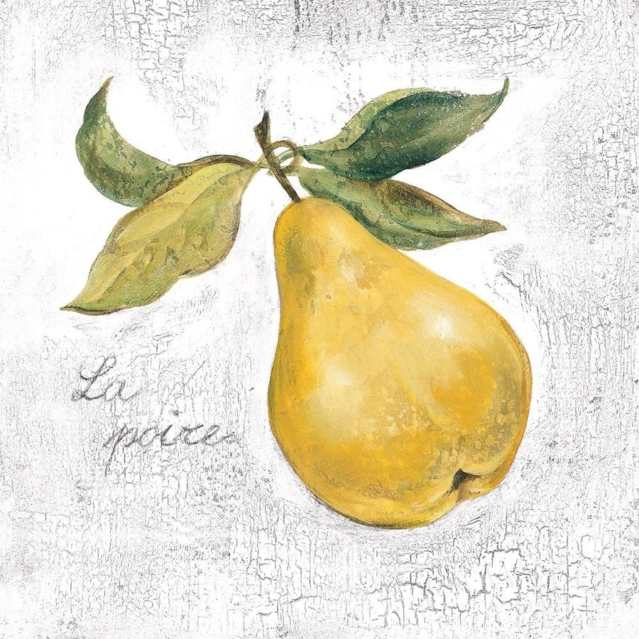 La Poire on White Poster Print by Silvia Vassileva-VARPDX51429 Image 1