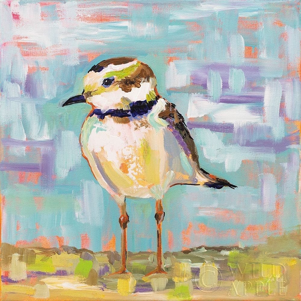 Coastal Plover II Poster Print by Jeanette Vertentes-VARPDX55180 Image 1