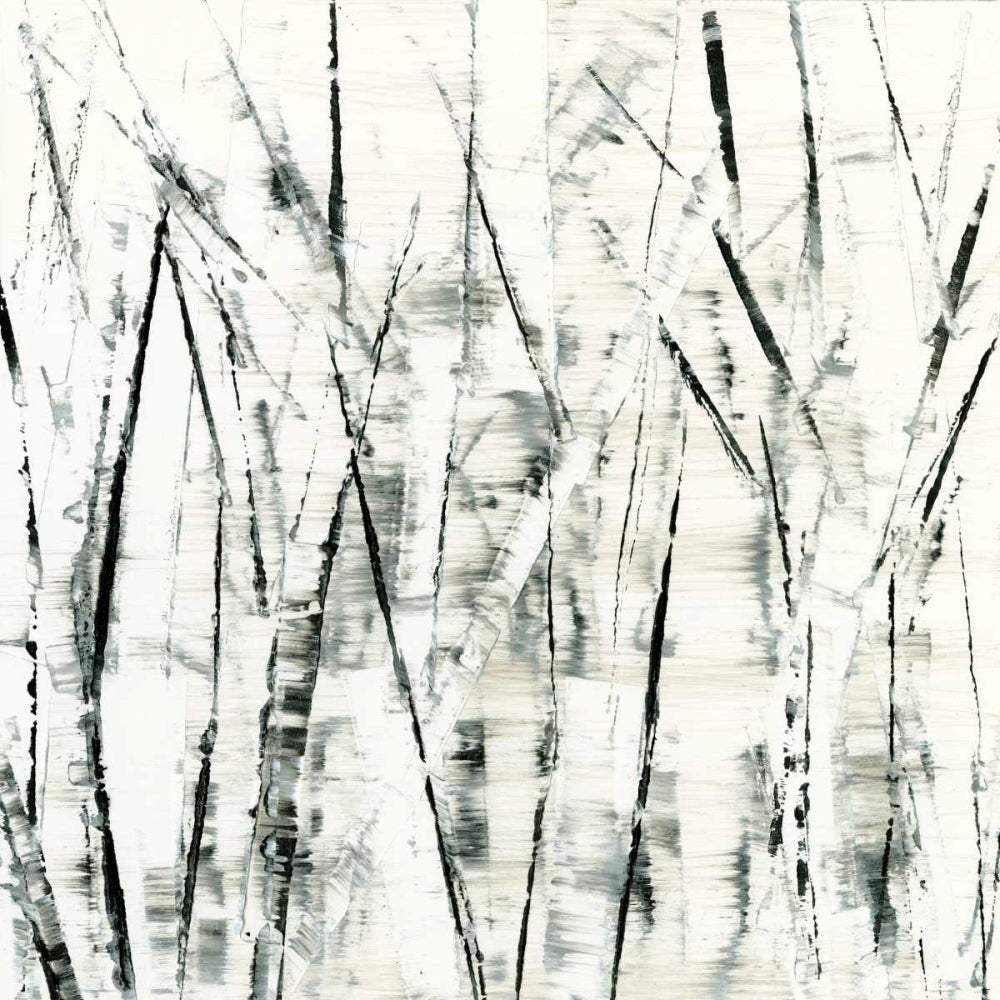 Birches II Poster Print - Sharon Gordon-VARPDX55345FN Image 1