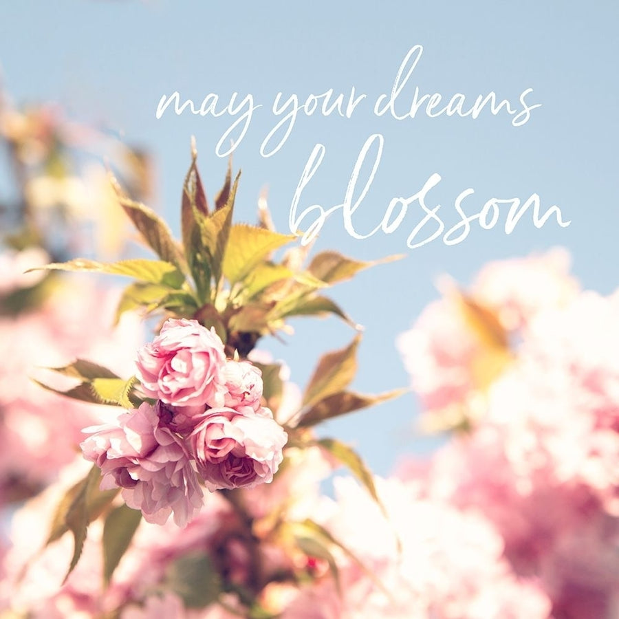 May Your Dreams Blossom Poster Print by Susannah Tucker Photography Susannah Tucker Photography-VARPDX573TUC1236 Image 1