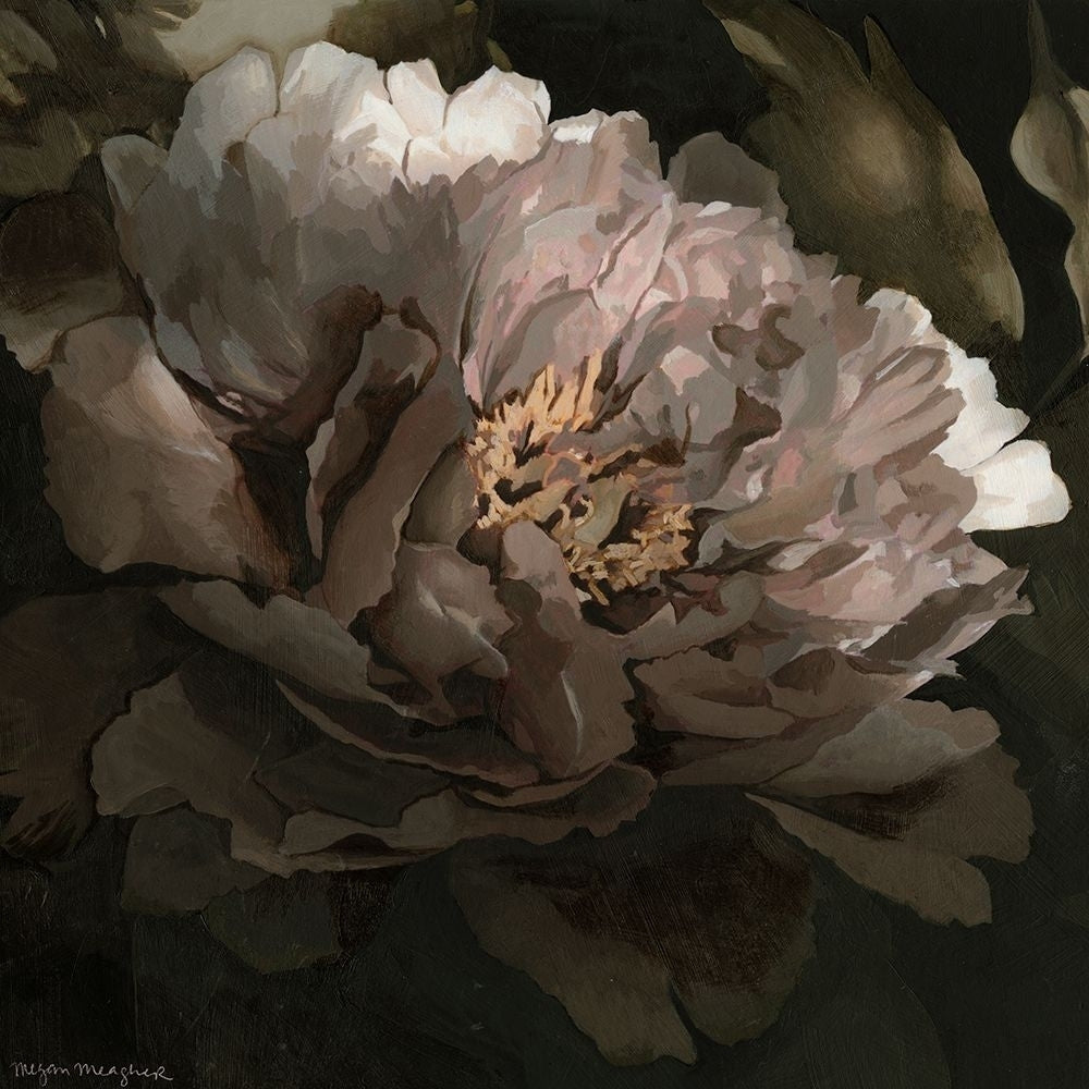 Moonlit Peony I Poster Print - Megan Meagher-VARPDX58387Z Image 1