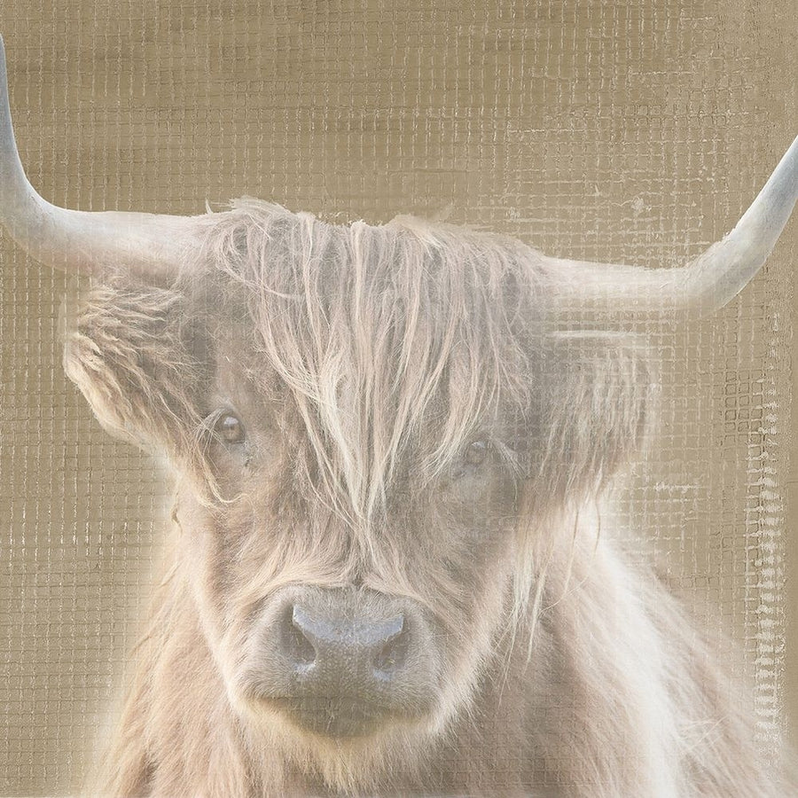 Soulful Bull Poster Print - Patricia Pinto-VARPDX6112A Image 1