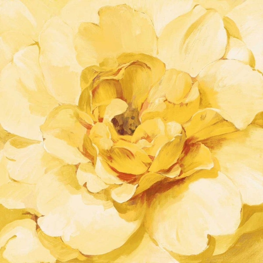 Yellow Peony by Danhui Nai-VARPDX65140 Image 1