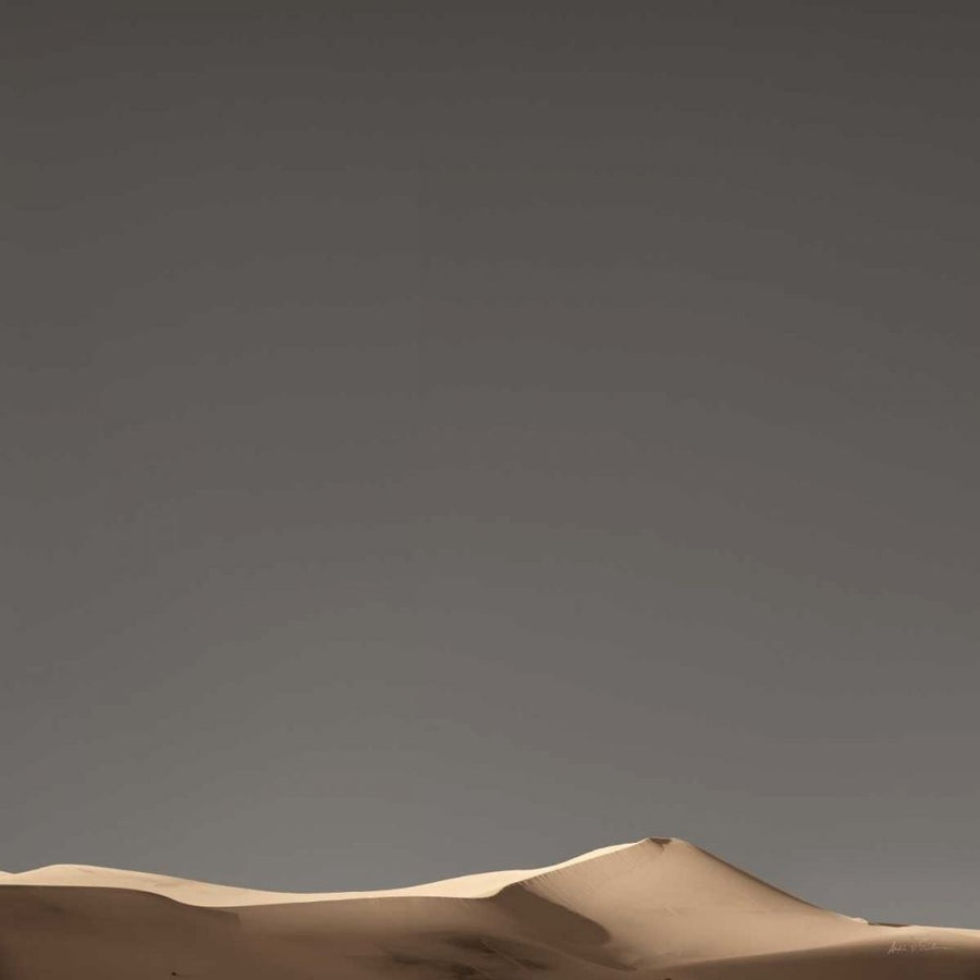 Sandy Dunes IV Neutral Sky-1 by Andre Eichman-VARPDX68470 Image 1