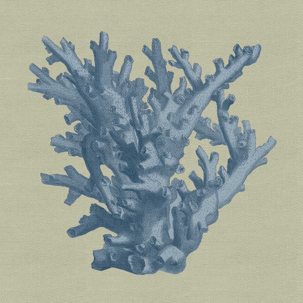 Chambray Coral I Poster Print - Studio Vision-VARPDX69401Z Image 1