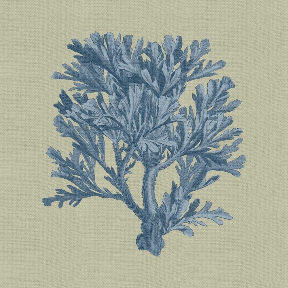 Chambray Coral IV Poster Print - Studio Vision-VARPDX69404Z Image 1