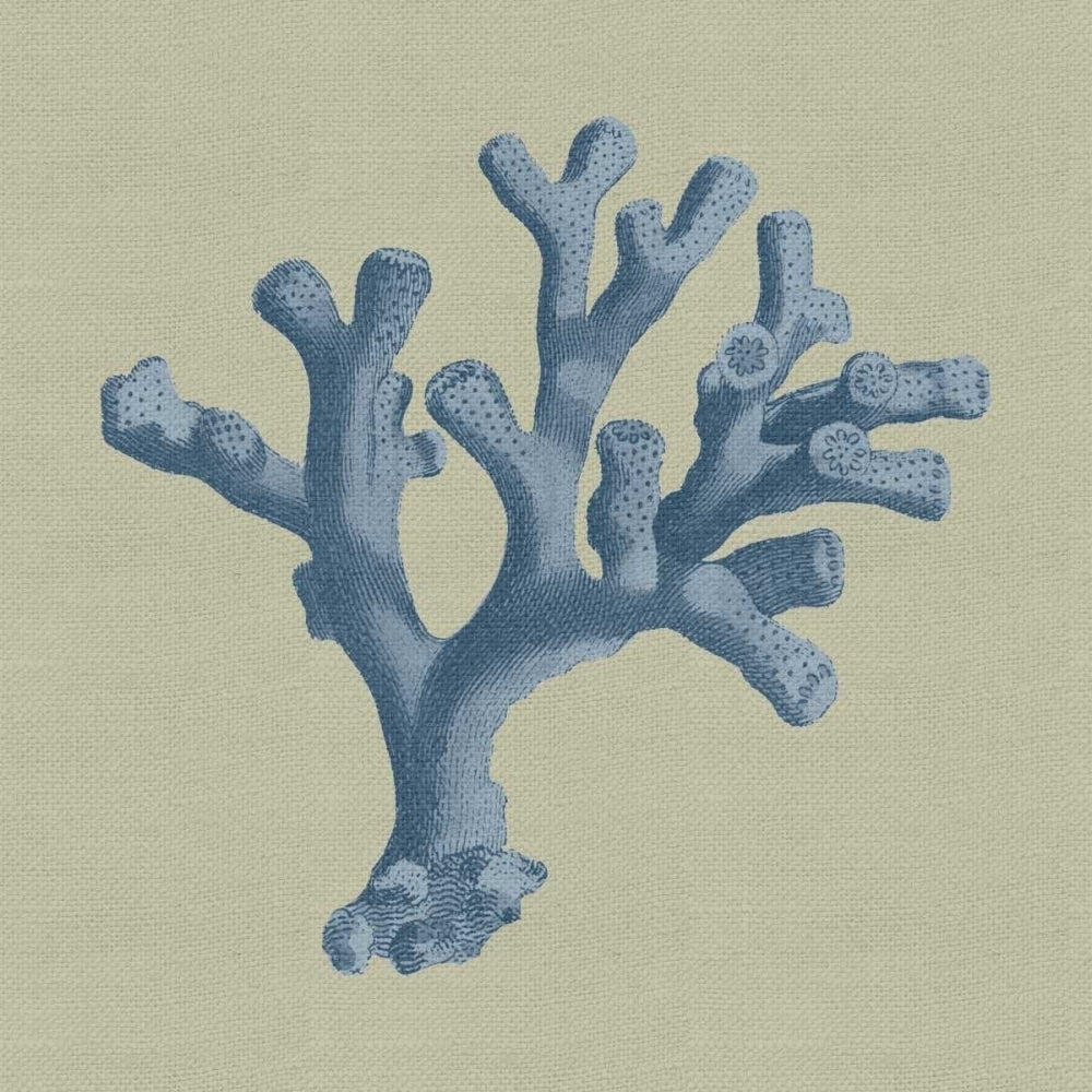 Chambray Coral II Poster Print - Studio Vision-VARPDX69402Z Image 1