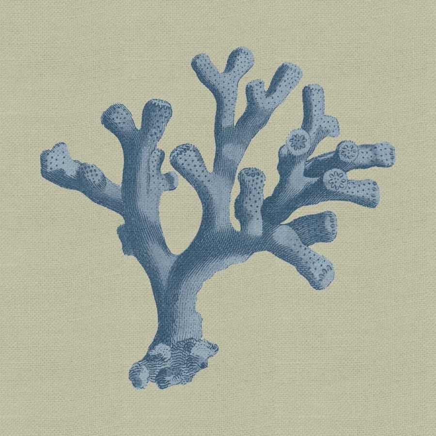 Chambray Coral II Poster Print - Studio Vision-VARPDX69402Z Image 1