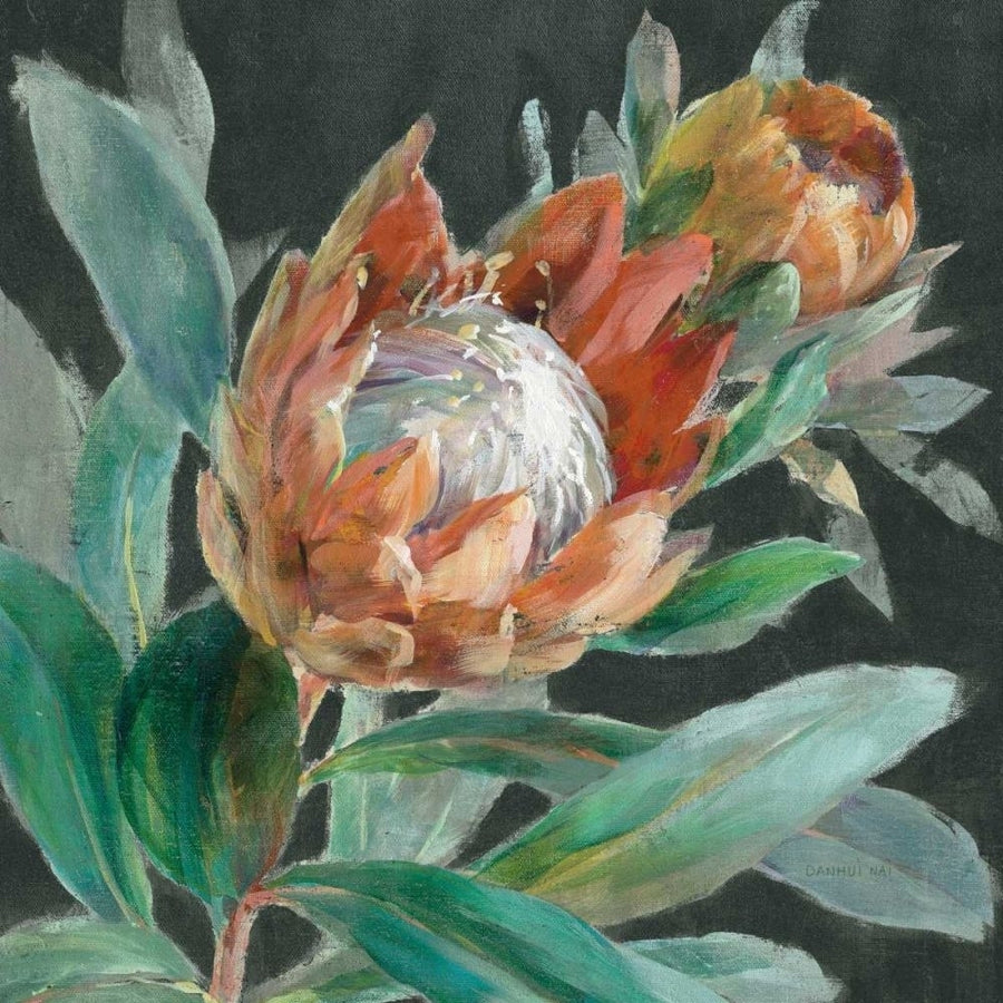 Deep Tropical Protea Crop by Danhui Nai-VARPDX69971 Image 1