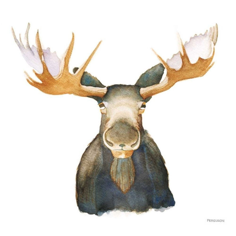 Moose by Kathy Ferguson-VARPDX72099 Image 1