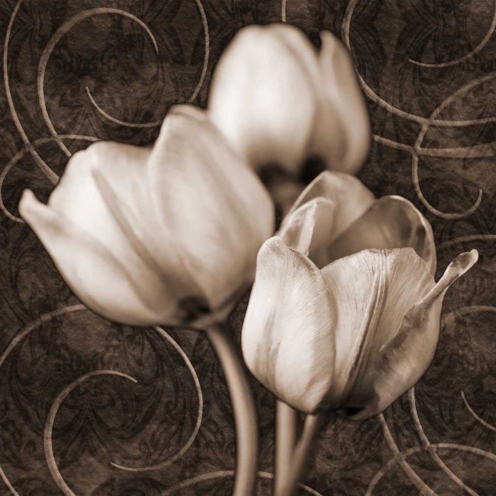 Tulip and Swirls I Poster Print - Christine Zalewski-VARPDX73285GG Image 1