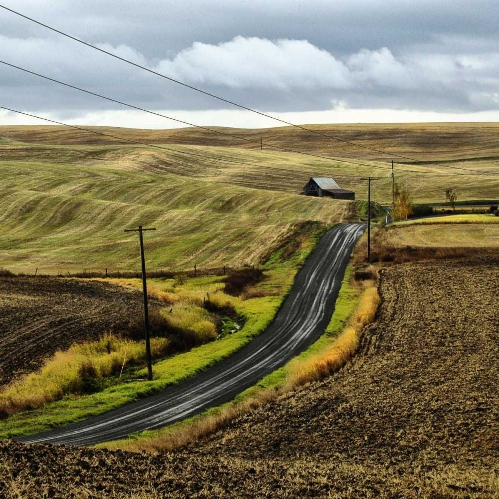 The Road Home Poster Print - Colby Chester-VARPDX74140GG Image 1