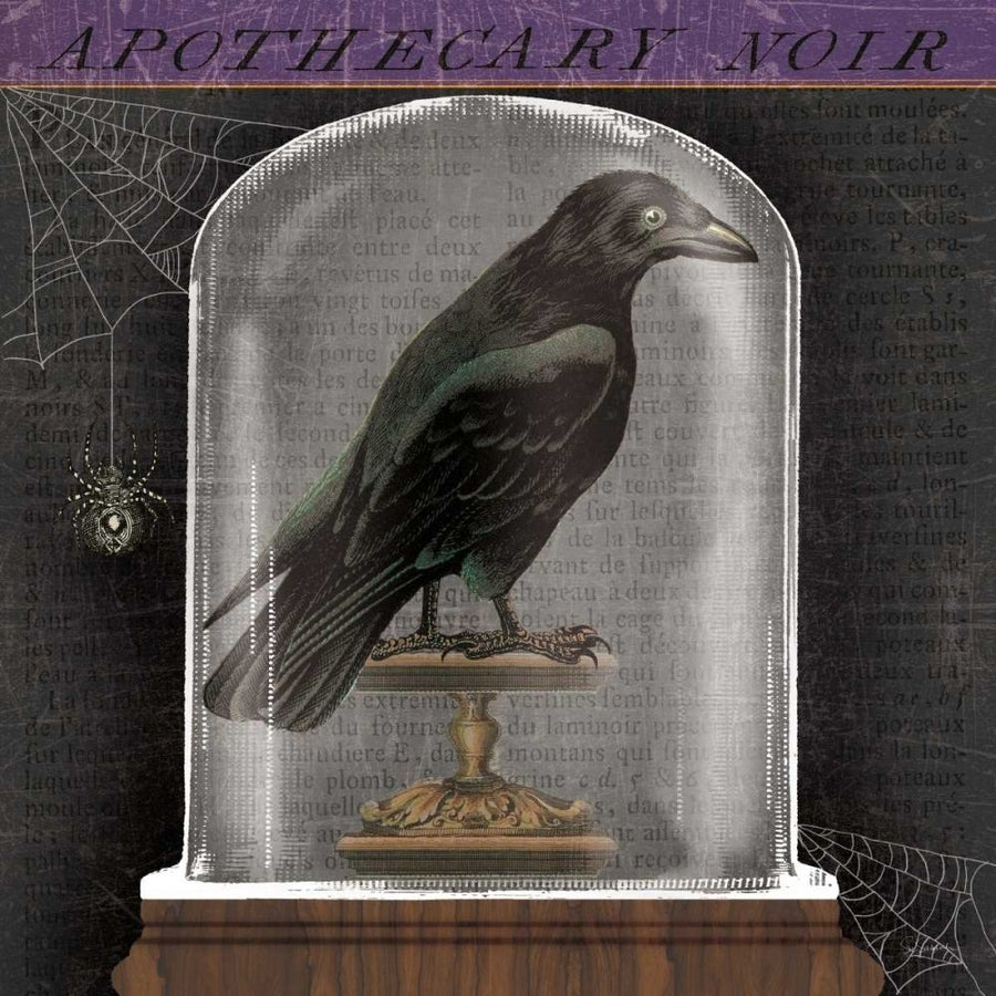 Apothecary Noir I by Sue Schlabach-VARPDX74886 Image 1